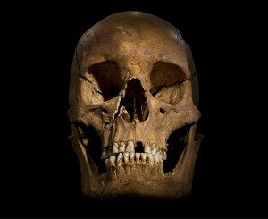 Richard III Skull