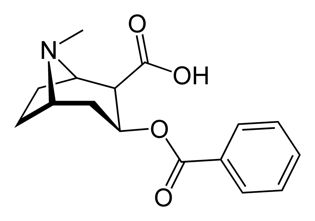 Benzoylecgonine-2D-skeletal_Ben_Mills