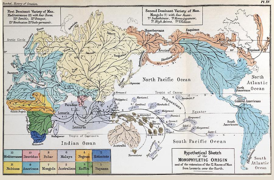 Haeckel Lemuria Map